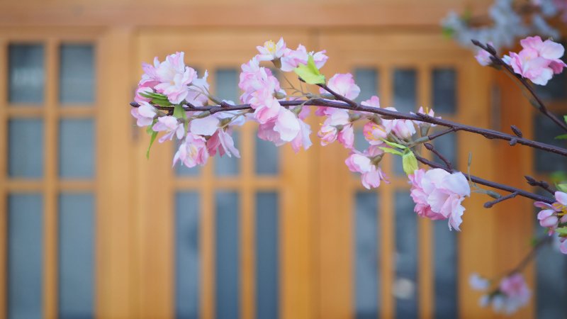 奥林巴斯相机镜头参数,奥林巴斯penf实拍样张