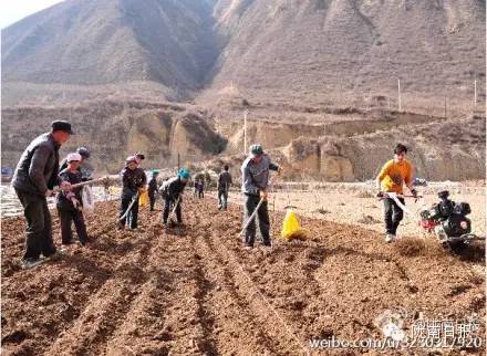 新闻资讯我县春耕春播热火朝天,春耕忙新闻