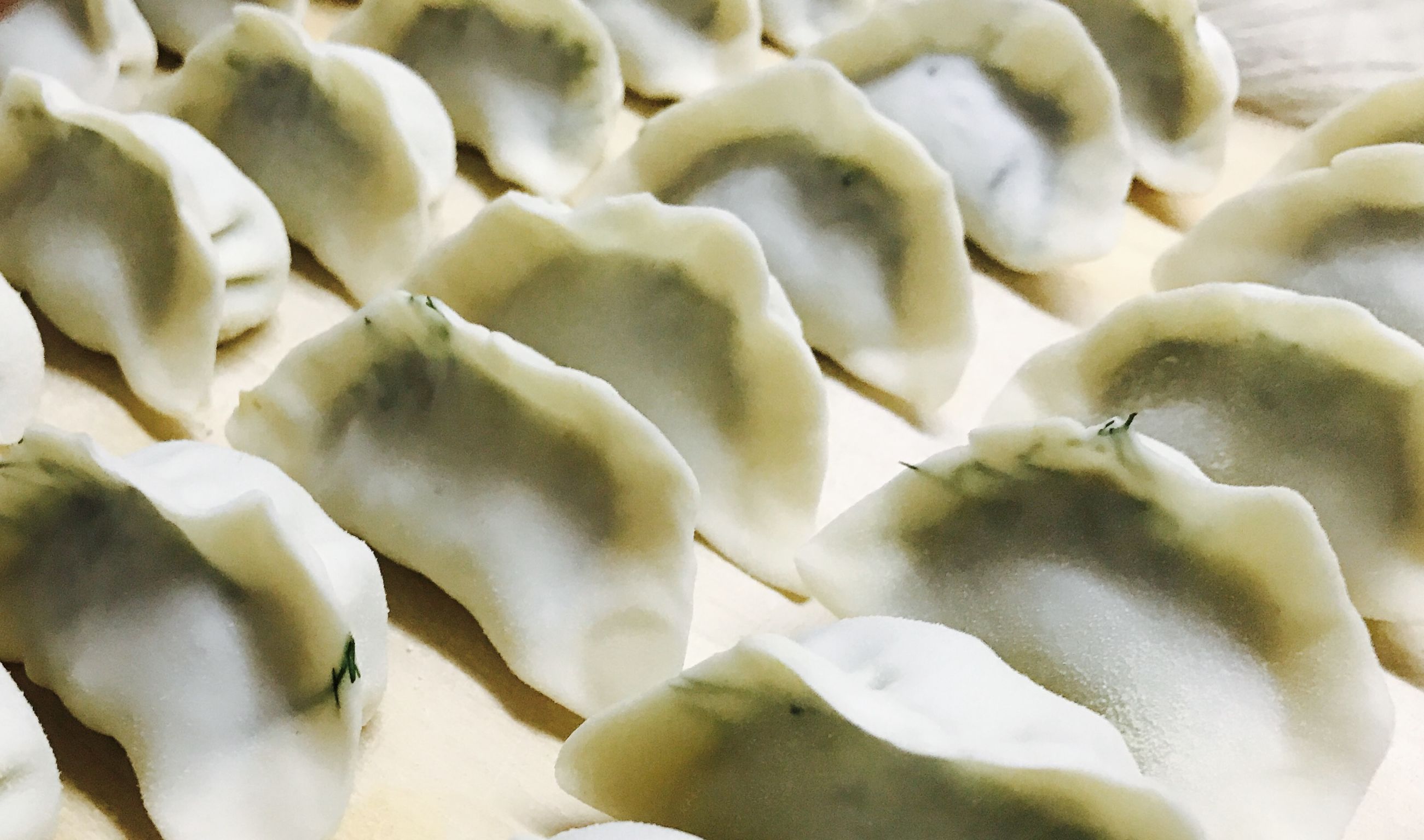 好吃多汁美味的肉馅茴香饺子,比肉都好吃的素茴香馅饺子