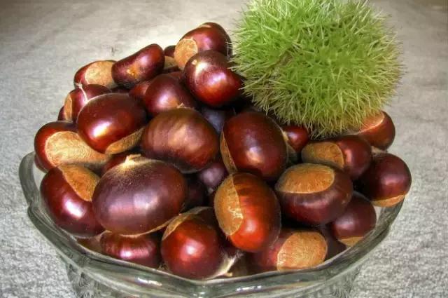 它被称为秋果之王好吃不贵还养生,它是水果中的维c之王