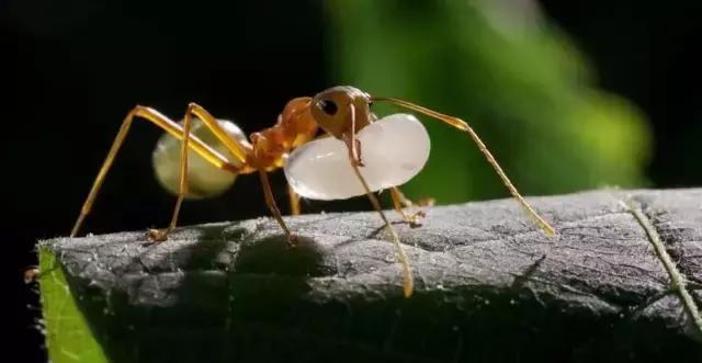 豆瓣9.7的冷门好片，送给每个热爱生命的人