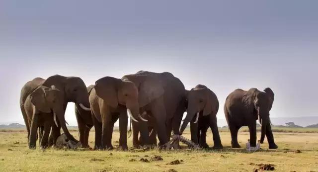 豆瓣9.7的冷门好片，送给每个热爱生命的人