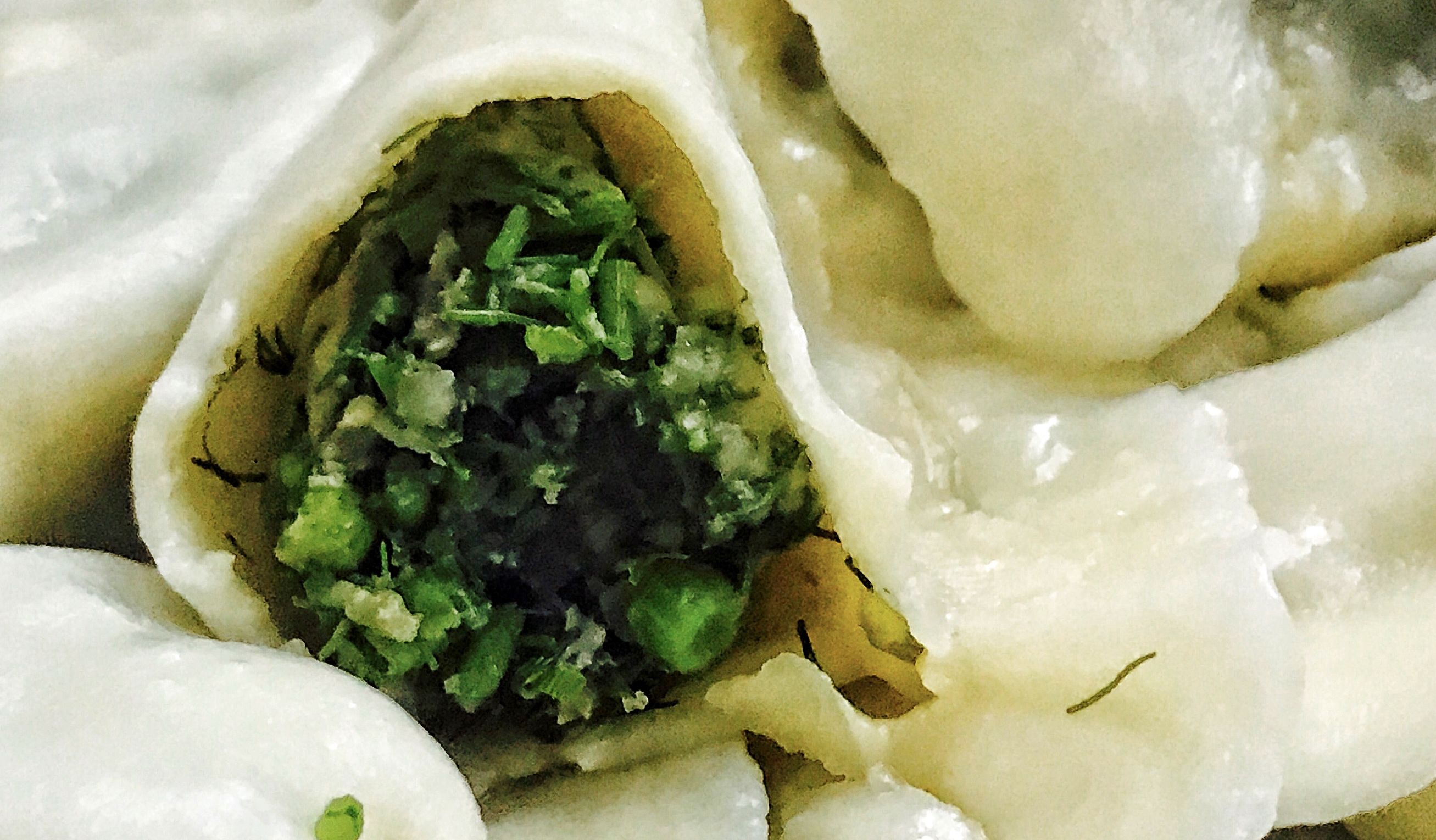 好吃多汁美味的肉馅茴香饺子,比肉都好吃的素茴香馅饺子