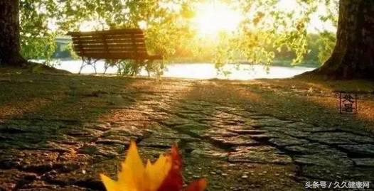 处暑养生吃鸭和鹅的功效一样吗,处暑节气的传统习俗及养生攻略