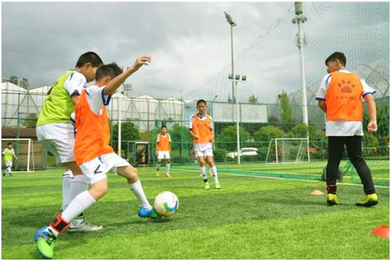 贵州恒丰智诚中甲,贵州恒丰智诚