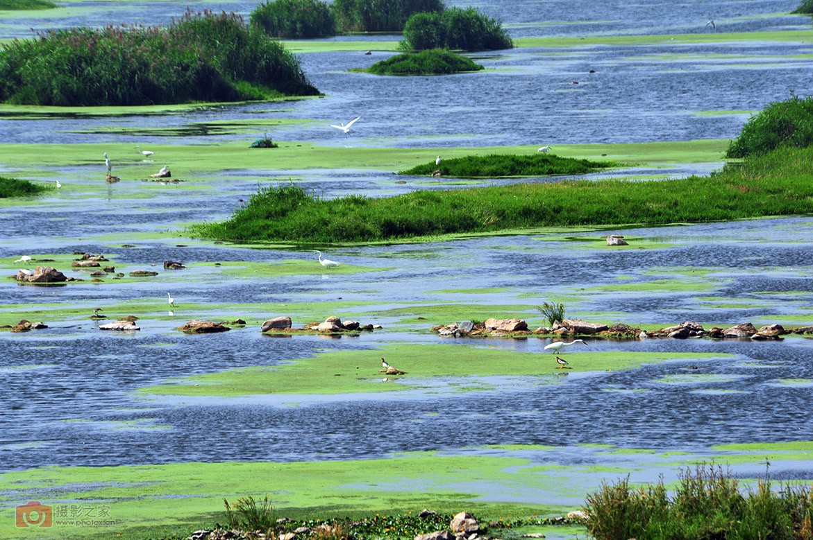 安泰科技产业园,高新区安泰
