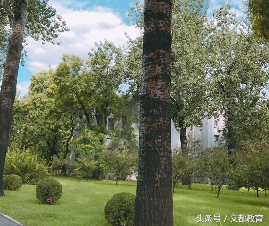 《大学我来了》走进北京理工大学——“乡”“村”上学故事