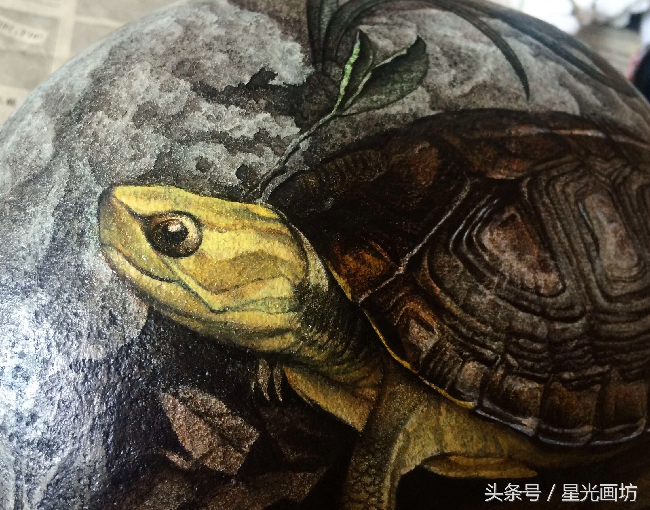 石头上画乌龟教程,龟石头画教程
