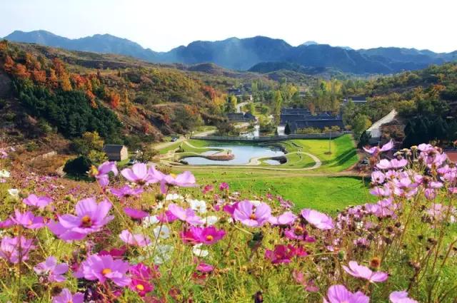 说走就走跟着抖音去旅行,说走就走出发视频