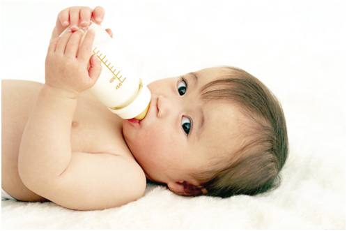 蛋粉如何选择,如何挑选蛋粉