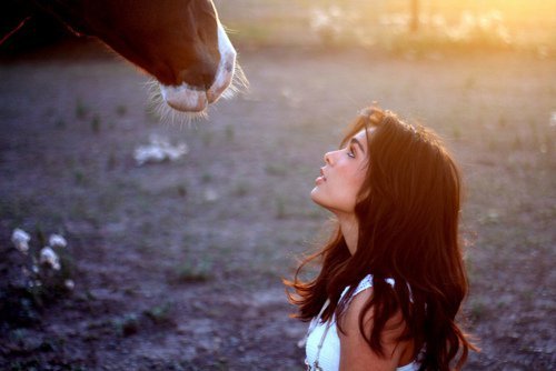 爱情经典朋友圈语录,朋友圈爱情背景图片
