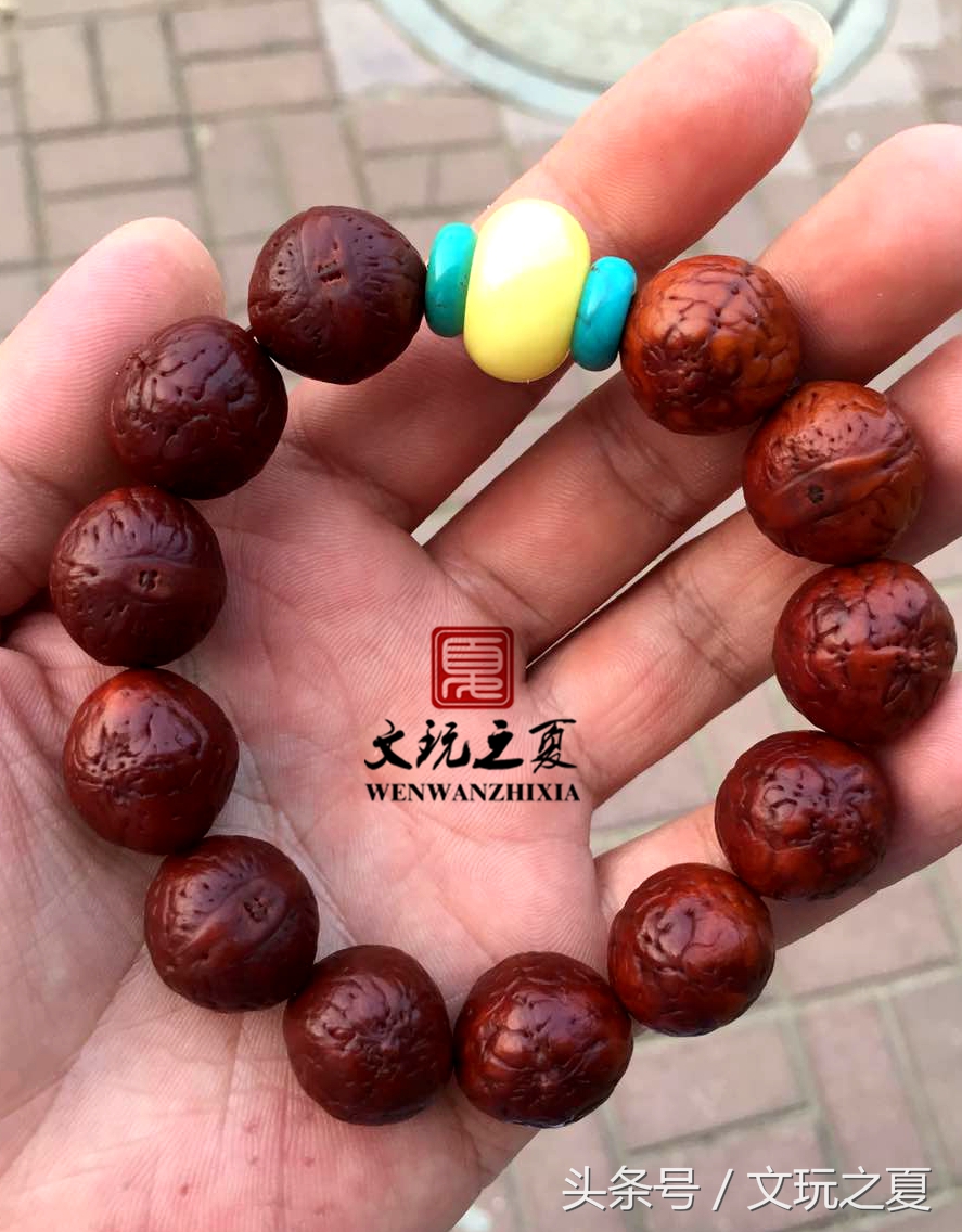 如何选择凤眼菩提,凤眼菩提如何选择