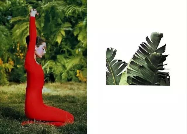 奥黛丽赫本的时代以什么为美,奥黛丽赫本优雅永不过时视频