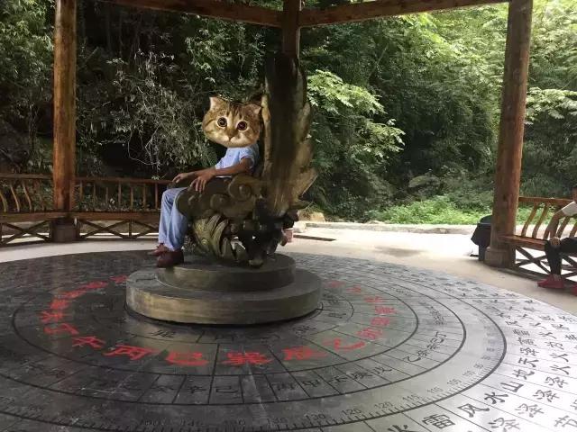 南宝山免费露营耍水,南宝山林海营地有什么耍的