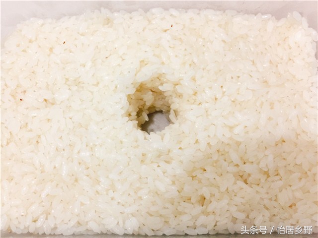 想吃甜酒了怎么办？看过来，动起来！