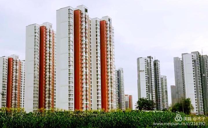 一花一叶总关情，一辆单车游古城，美哉正定！