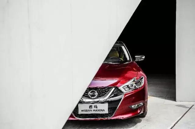 西玛是匹什么马,它跑的快吗?