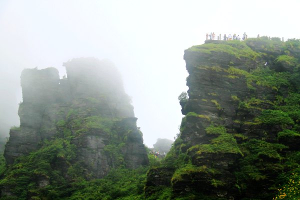 天天有人去山上采蘑菇,每天来观看的游客上万人