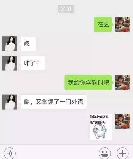 我给你学狗叫吧什么梗,我给你学狗叫吧什么意思