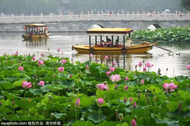北京七夕游玩推荐,过七夕的风景
