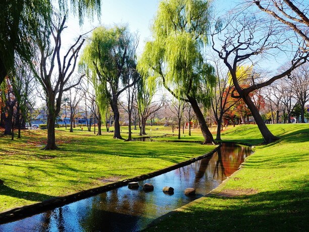 日本北海道大学横井敏郎,日本北海道大学怎么样