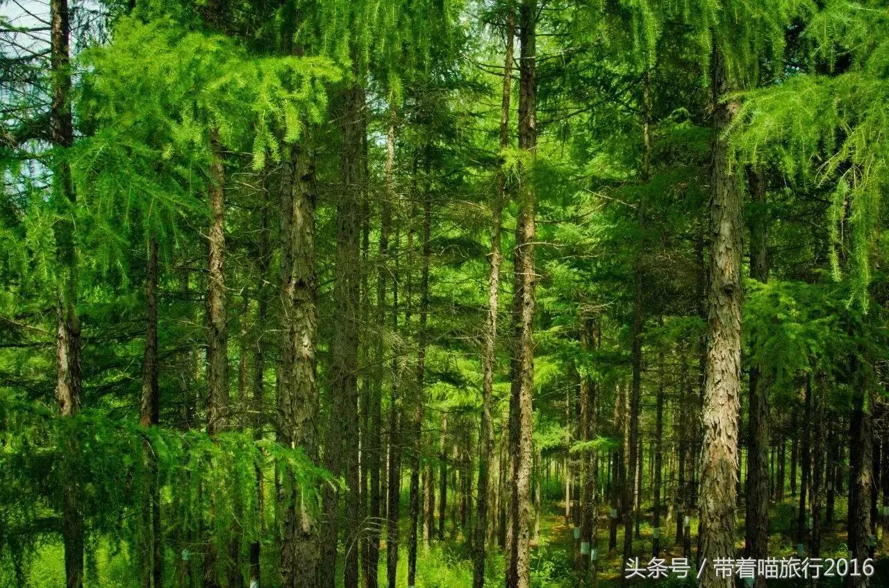 国内唯一一眼望三国的边境小城，竟是俄罗斯人钟爱的宜居城市