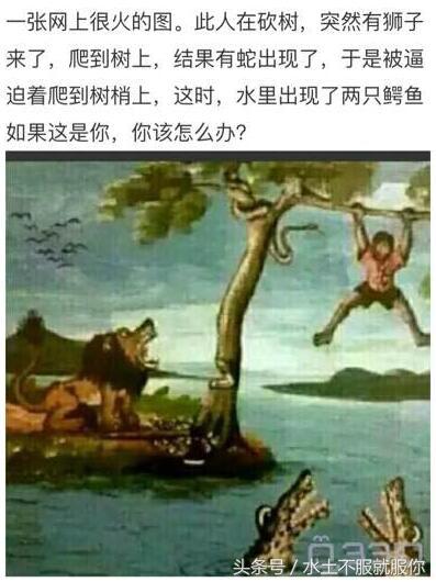 麻将思路,麻将的打法和技巧先成牌