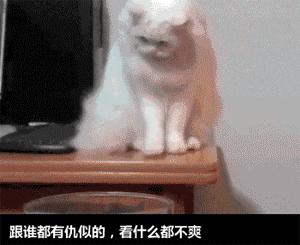 大姨妈期间惹女朋友生气怎么哄,大姨妈怎么缓解情绪