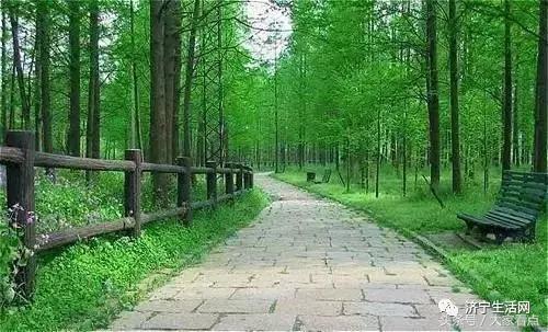 济宁济北最新规划图,济宁济北新区最新规划