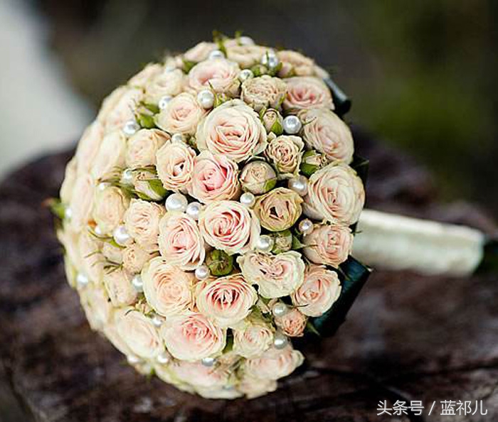 七夕送鲜花玫瑰送哪种,七夕送情人玫瑰花