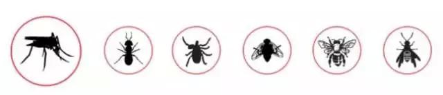 蚊子咬后红肿反复瘙痒怎么办,被毒蚊子咬了奇痒难忍