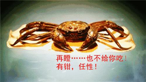 哎哟不错哦！杭州当下展览大集合，卖萌惊艳统统有！