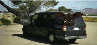 影史上让人绝望的电影,影史上最具争议的电影