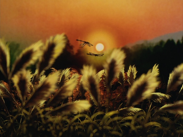 史上最经典的ova动画,ova最炸裂的动漫