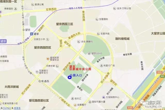 厚积薄发银杏,望京公园和大望京公园哪个好