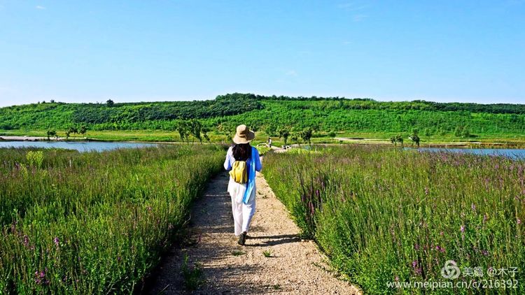 一花一叶总关情，一辆单车游古城，美哉正定！