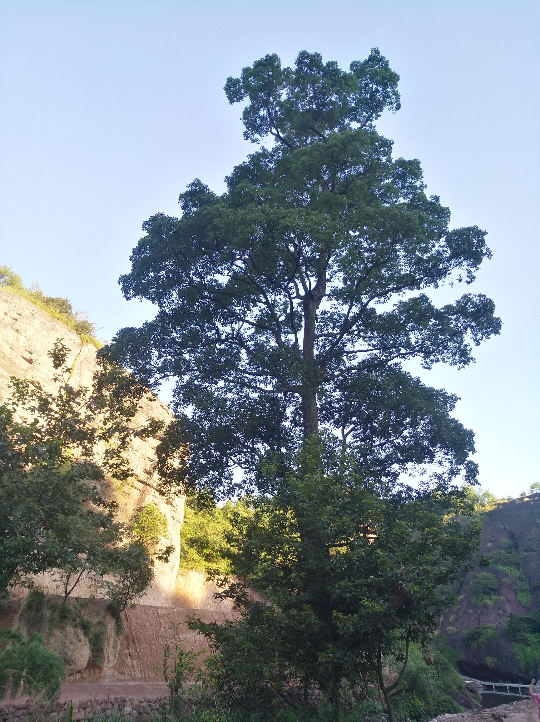 情人谷里有情人吗,情人谷相遇