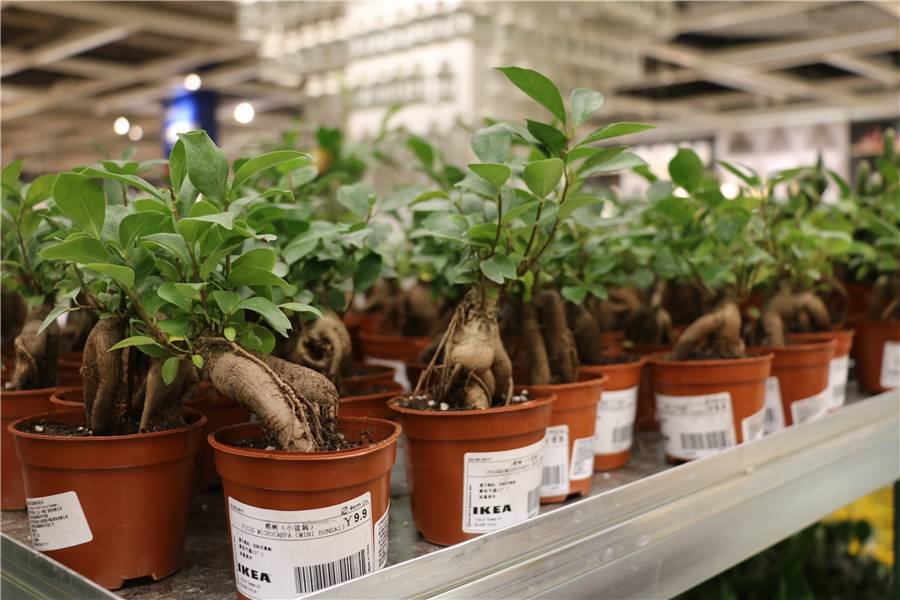 宜家新款收纳神器,宜家廉价好物推荐