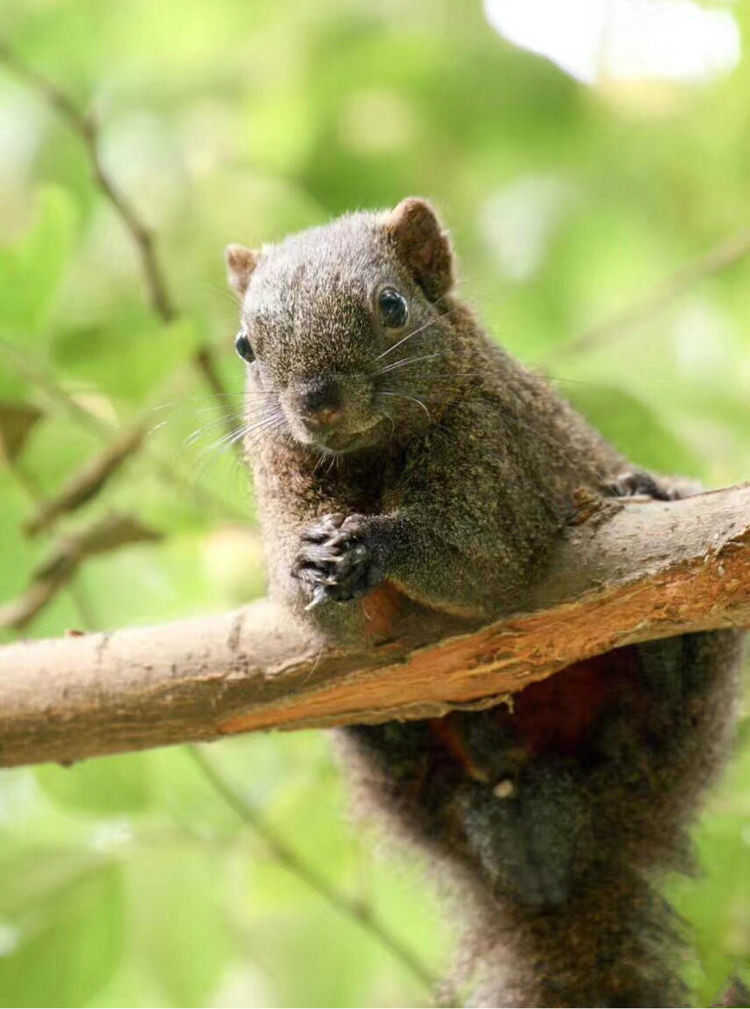 世界因你而美好原唱,世界因你而美好