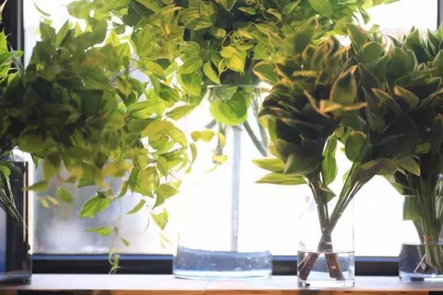 七夕第一次去花店买花应该怎么做,花店七夕节怎么卖花