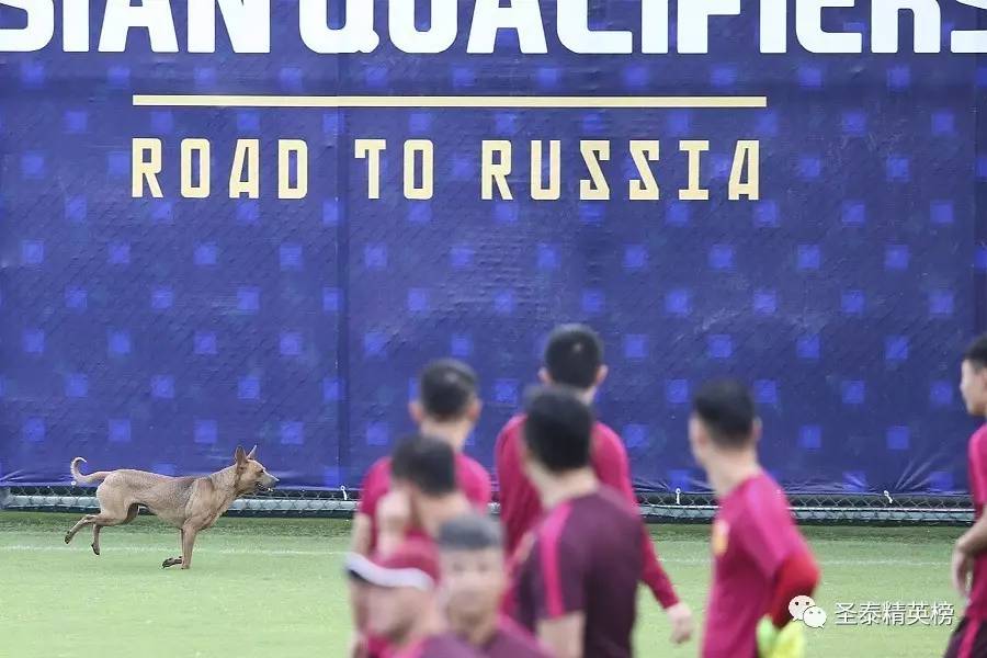 里皮指导恒大,里皮观战斯科拉里