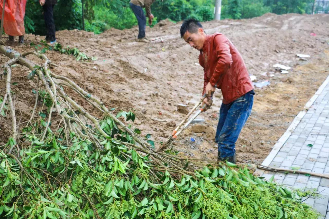 许昌花博会好玩吗,许昌花博园景观