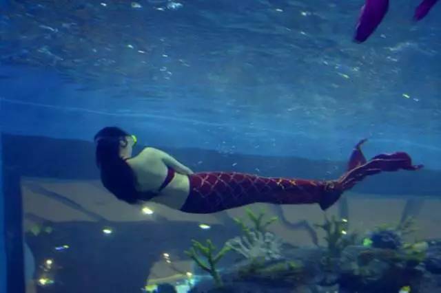 最吃香的酒店职业,如何选择一个好的酒店工作