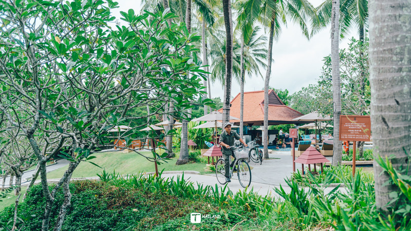 带你一起去泰国看海,回忆那年在泰国踏浪看海