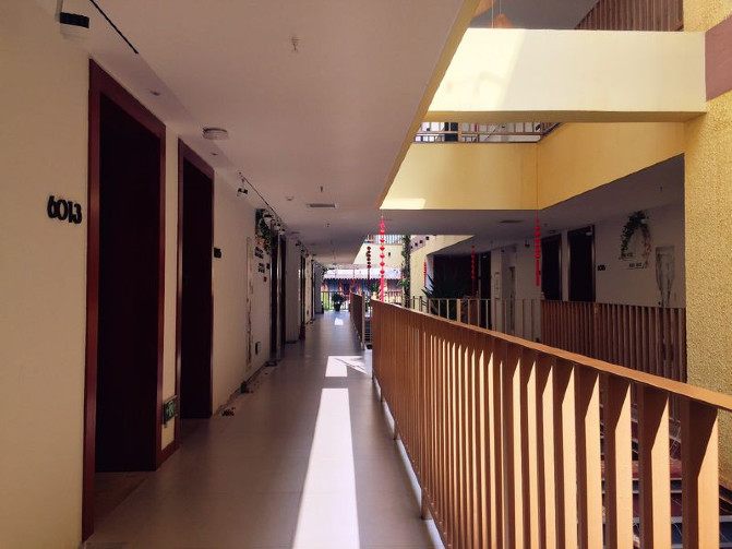 去西双版纳旅游吃住行攻略,去西双版纳旅行自由行攻略