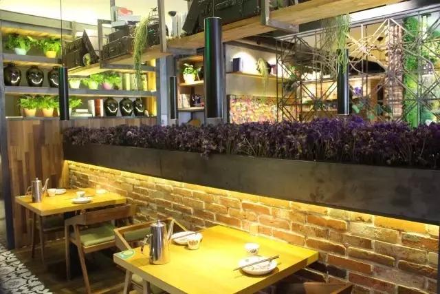 那些年的我们青年餐厅团购,那些年我们的青年餐厅