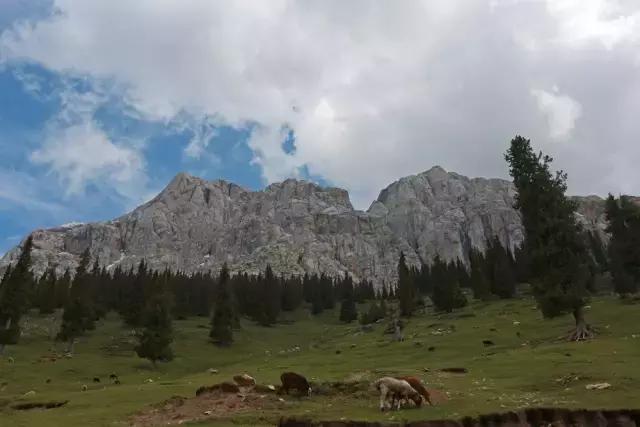 新疆风景看伊犁,新疆伊犁风水