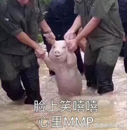 还去香港干嘛?日本都比香港折扣大