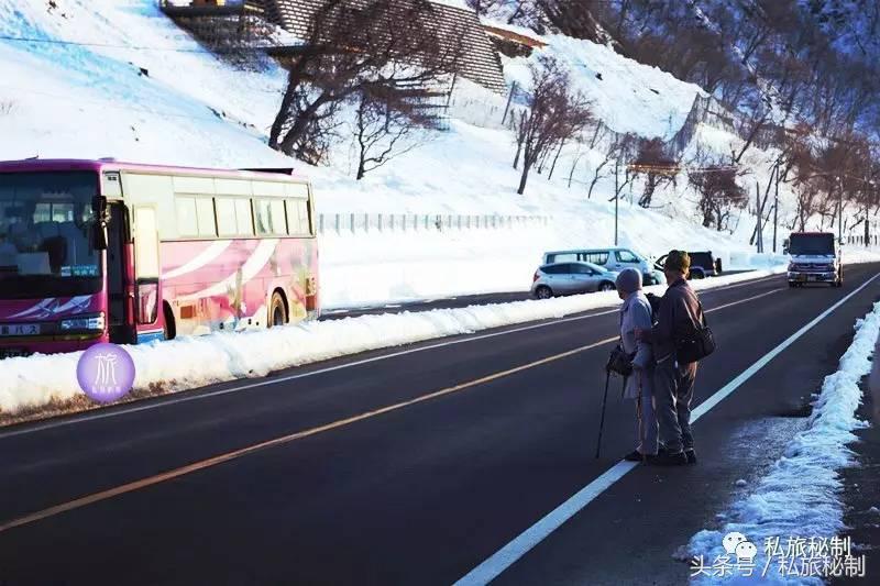 七夕节虐狗句子,七夕节花式虐狗我们不一样