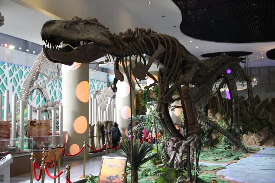 中国有哪些神奇的地方,中国有恐龙的地方